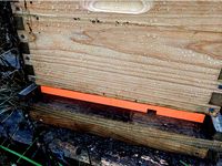 Bee Hive Entrance Reducer by runner409