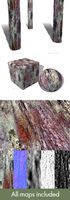 Bark Seamless Texture