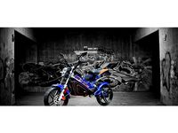 Footrest for elektric Bike by MrManAsIce