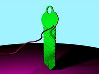 Wrap-Up [gnamp] by gnamp