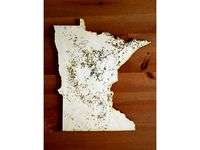 Minnesota Lakes Map by jthorson2
