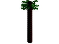 Palm Tree by kbpiper01