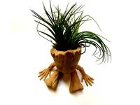 Baby Groot Air Plant Planter by JuliaTruchsess