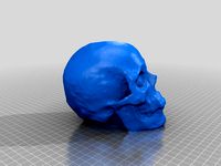 photogrammetry created skull - openMVG, openMVS, MeshLab, MeshMixer by kwm