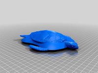 fastest turtle you'll ever meet. Teal Sport™ Custom Top by freakshow29