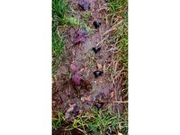 Robotic Lawn Mower Spikes by Copyright