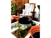 Wide Mouth Ball Mason Jar Covers by kerrylash
