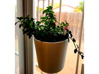 Suction Cup Planter for Bonnie Pots by jonahlyn