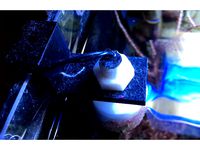 Float switch stand by Coppola