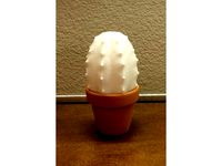 Cactus 1 by elliotjackson