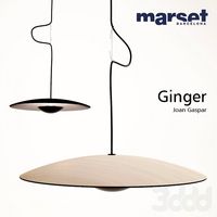 Ginger