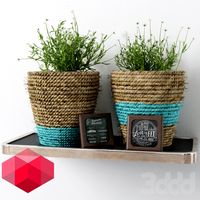Redhome Small Tree Rope
