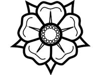 Lilies Mooncakes Moulding by Evetanlm