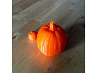 Pumpkin by ejfastow