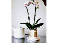 Popsicle pot (Orchid planter) by MrMdR