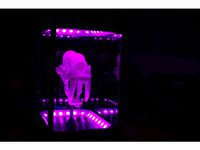 Light Up Sabre Tooth Case by King_Bluetooth