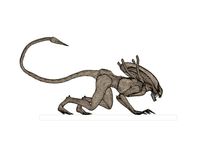 Alien Drone Xenomorph by dazzadazzadazzadazza