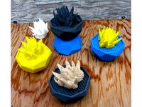 Succulent in a Pot   by pmoews