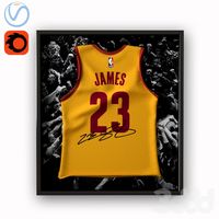 Lebron James jersey in frame / Майка ЛеБрона Джеймса в рамке