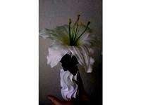 swervy vase by makermaster25