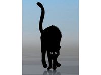 Black cat 3 by Misterdid