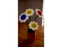 Labyrinth Gift Box and Smiley Flower Pot by SteffenKonrad