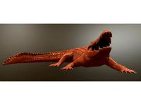 Crocodile by ahmad4k