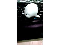 海豹 seal by orangeteacher