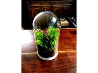 IKEA Plant Terrarium by DasBoss