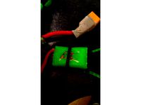 AK 185-214 Protector Racerstar tattoo-s 35A (Esc cover) by skydge
