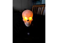 Skull and stand  by a55830