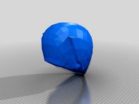 Destiny Lion's Vigils Mask by FizzyLeopard804