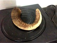 Ram's horn 3d scan by scobo