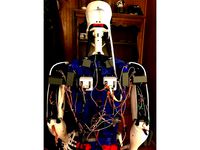 EZRobot mount for Inmoov by Perry_S