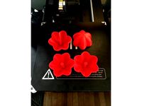 Ant Moat Repaired Flat by Intrglctcrevfnk