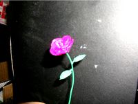 Flower with Leaves by bstnguy682975