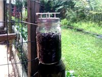 Bottle Fly Trap for Mason Jars by faithhack