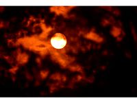 Solar Filter Adaptor for Camera Lens Hood by glehlaing