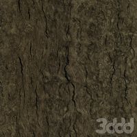 Smoke-Eucalyptus 1400 х 1400