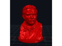 Teddy Roosevelt Bust by ldpederson