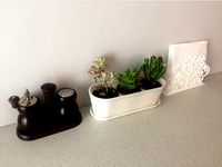 Tiny Planter & Tray for Succulents by UncleVlady