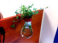 Light bulp holder for flower pot by jzvxl5efs