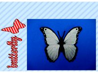 Colgante Mariposa / pendant butterfly by tresdlito
