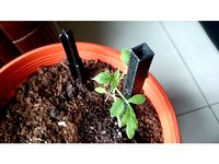 Stackable modular plant support pole/stick by MrTestOne