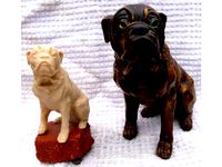 Bull Mastiff by pmoews