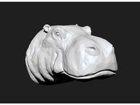 Hippo Head - Low Poly by ricardo_jfa