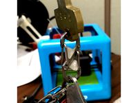 Nite Ize S Clip Lock (Keychain) by djt5173
