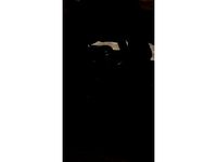 Sling Mount Mlok  by 5net