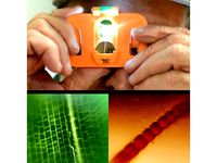 $1 Pocket Microscope by anisotropy