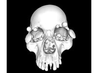Growing Skull with Several Mushroom Models by megretson